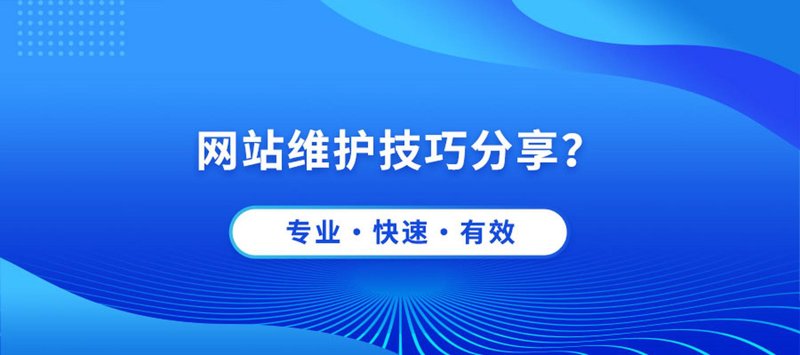 探寻网络技术服务的广阔天地